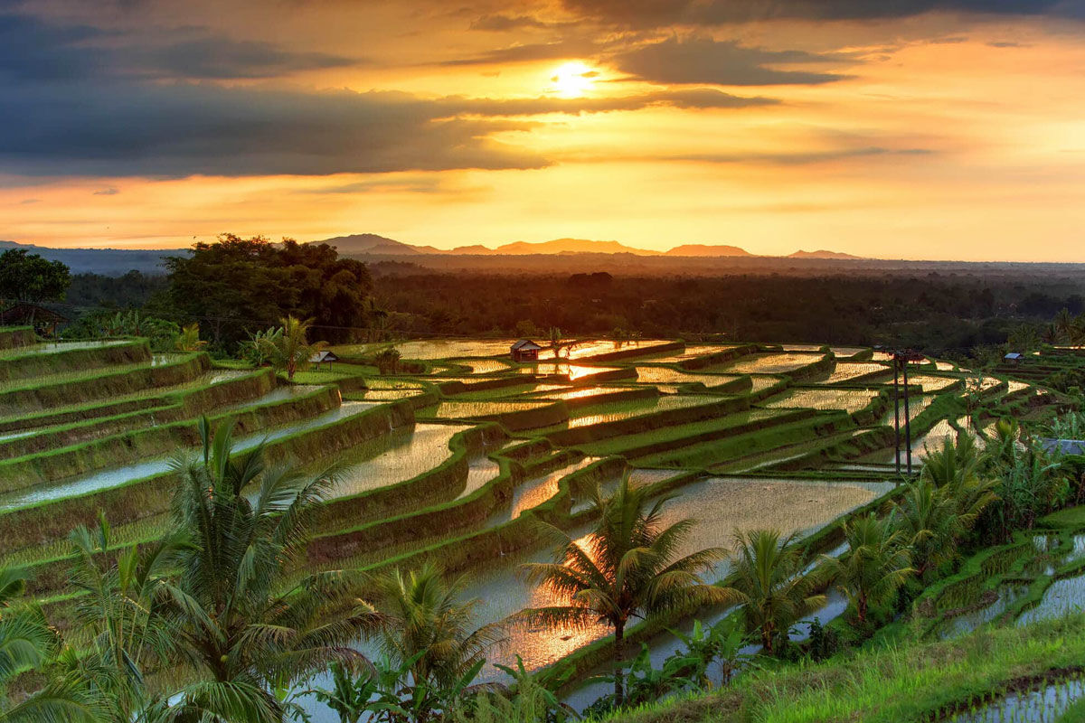 Kişiye Özel Bali Turu | 9 Gece - 11 Gün