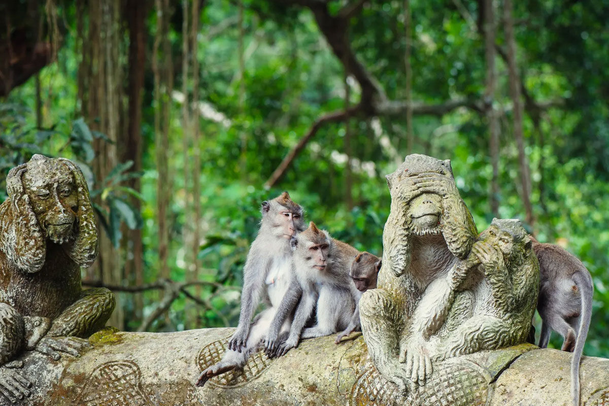 Kişiye Özel Bali Turu | 8 Gece - 10 Gün